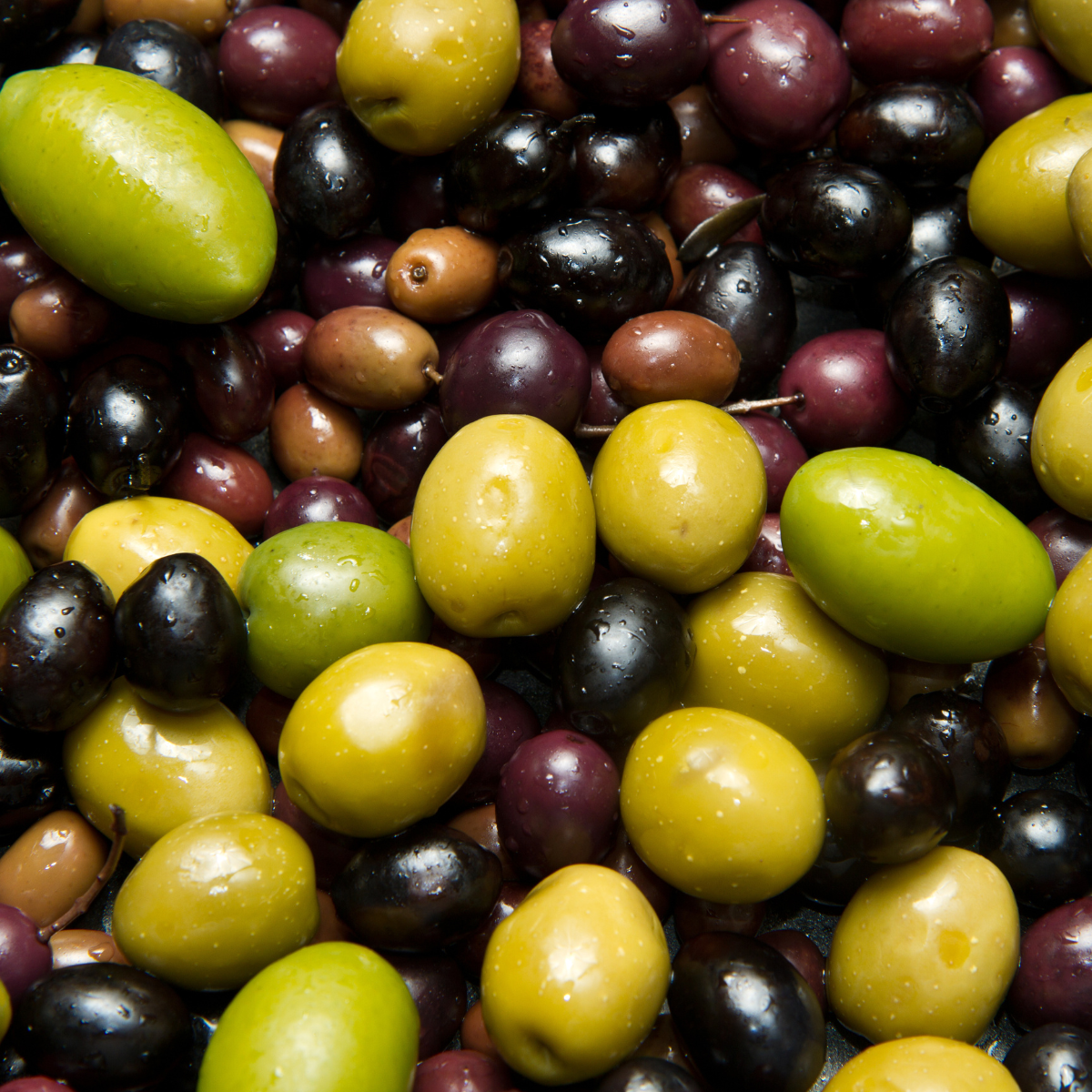 Pitted Picholine Olives | 26.28 oz | Moroccan Olive Grove