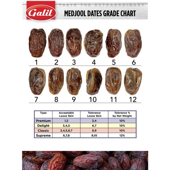 Premium Natural Medjool Dates | Red | 11 lbs | Galil